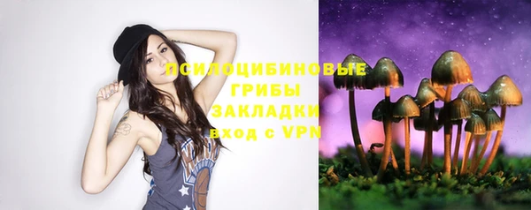 амф Алзамай