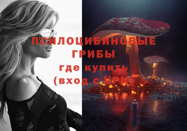 твердый Алексин