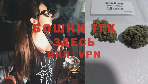 индика Няндома