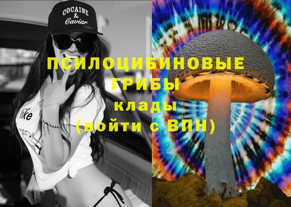 твердый Алексин