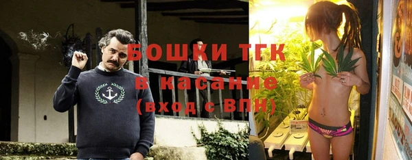 индика Няндома