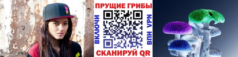 Псилоцибиновые грибы GOLDEN TEACHER  Пенза 